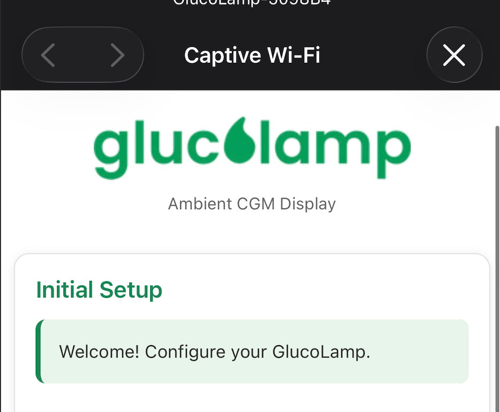 Portale di configurazione GlucoLamp aperto nel browser